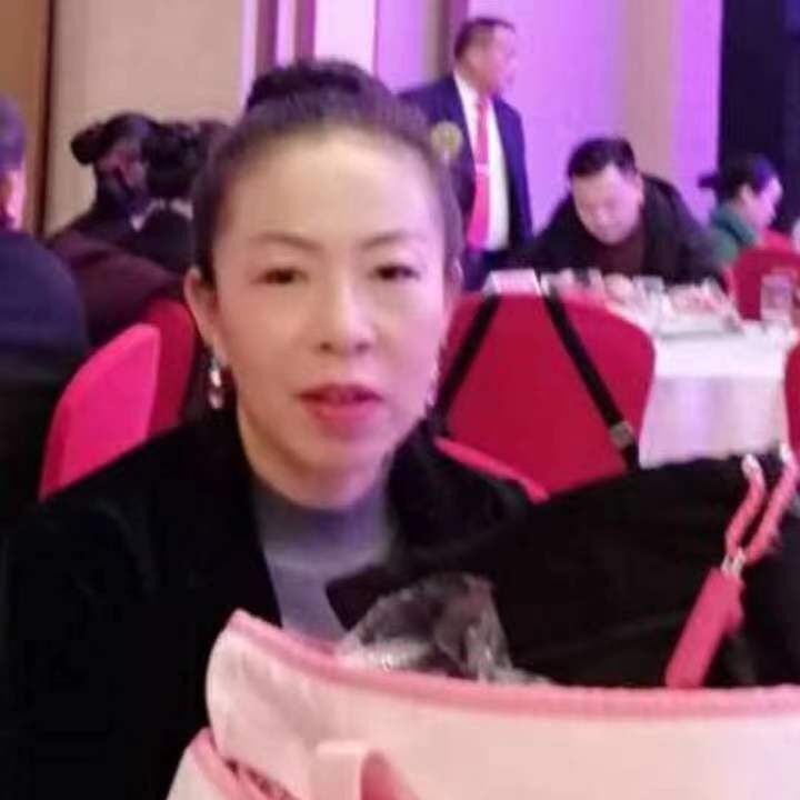 中秋桂花玉兔的第四张照片--温州相亲服务中心